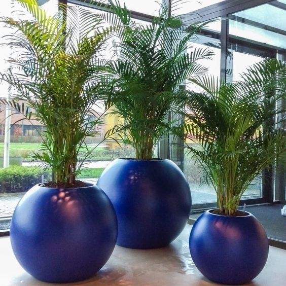 Pots pour plantes sphériques design en résine haut de gamme