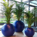 Pots pour plantes sphériques design en résine haut de gamme
